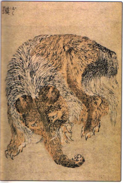 Baku