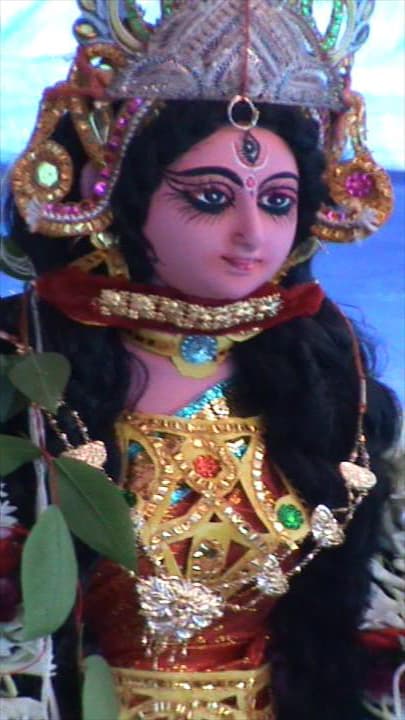 Bipadtarini
