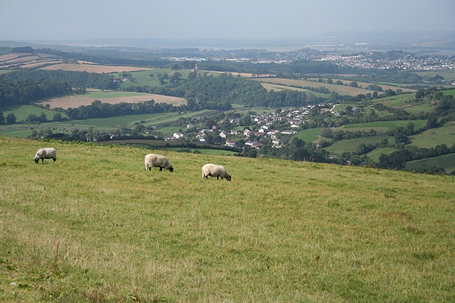 Bishop's Tawton