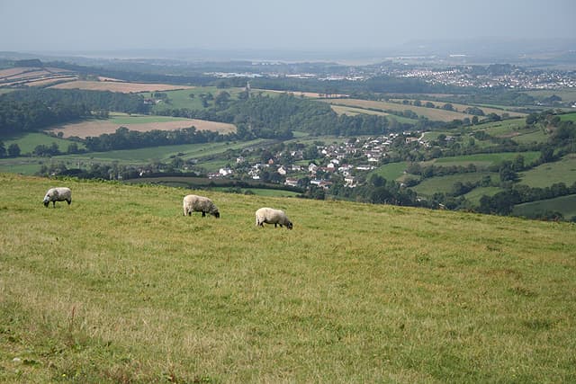 Bishop's Tawton