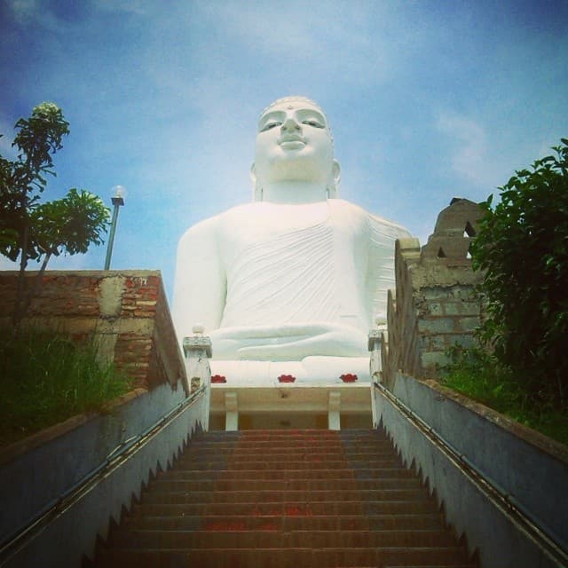 Sri Maha Bodhi Viharaya