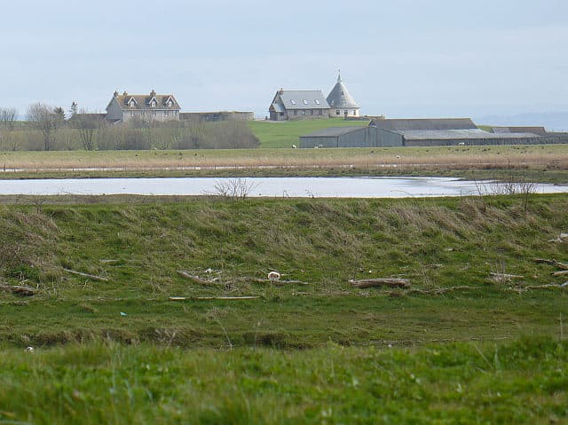 Goldcliff Priory